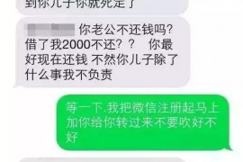 昂昂溪为什么选择专业追讨公司来处理您的债务纠纷？